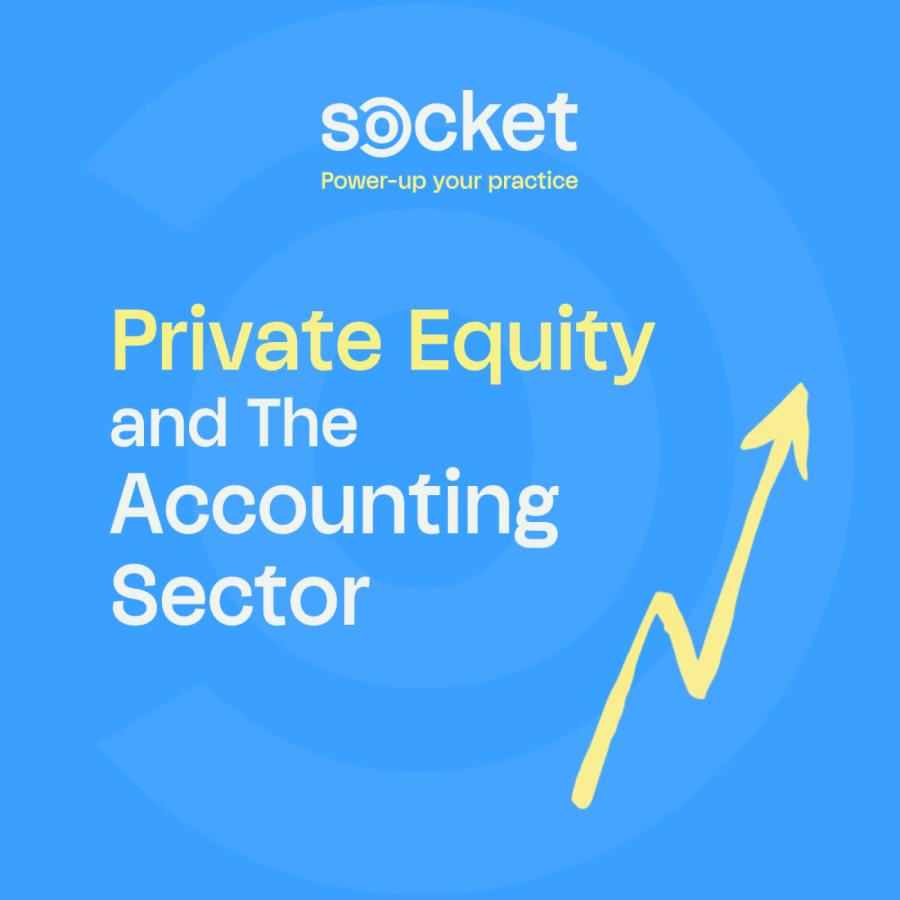 Why Does Private Equity Love the Accounting Sector?