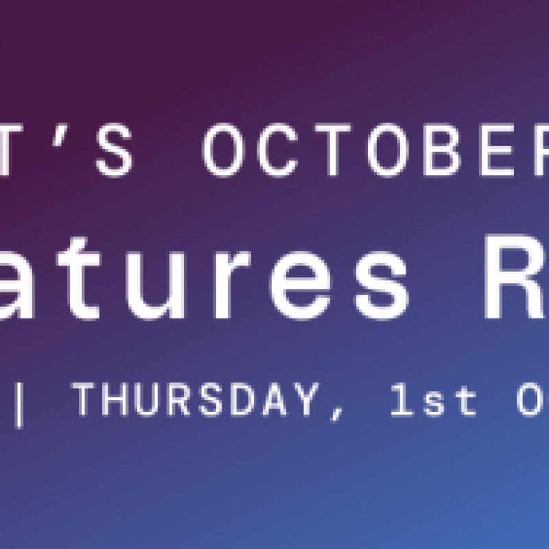 Socket New Features Roundup